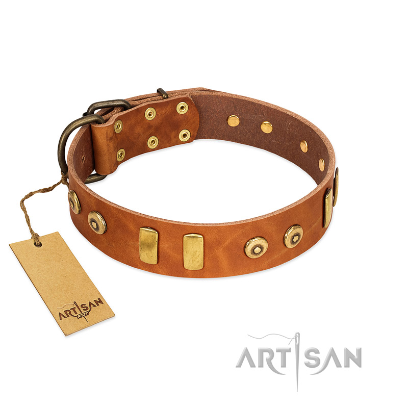"Egyptian Script" FDT Artisan Tan Leather English Pointer Collar with Plates and Small Studs