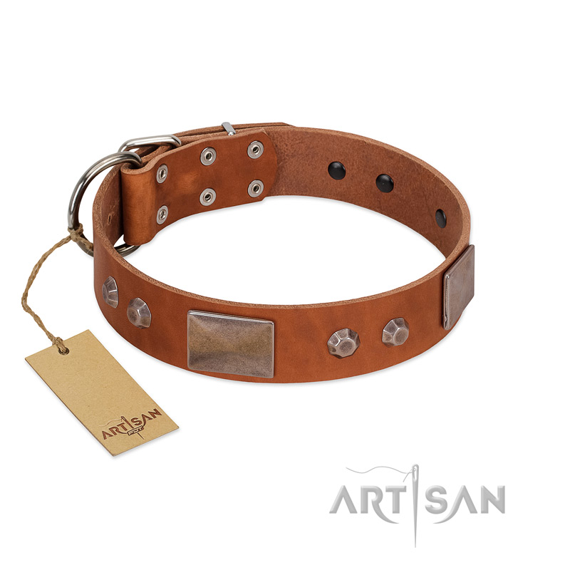 "Great Obelisk" Handcrafted FDT Artisan Tan Leather English Pointer Collar with Large Plates and Pyramids