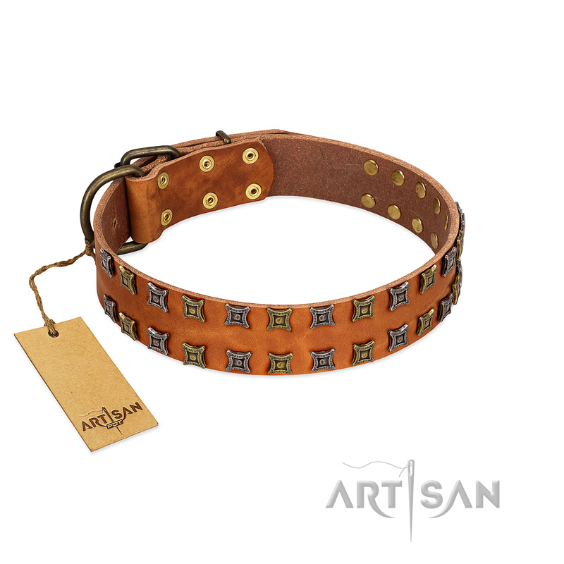 "Terra-cotta" FDT Artisan Tan Leather English Pointer Collar with Two Rows of Studs