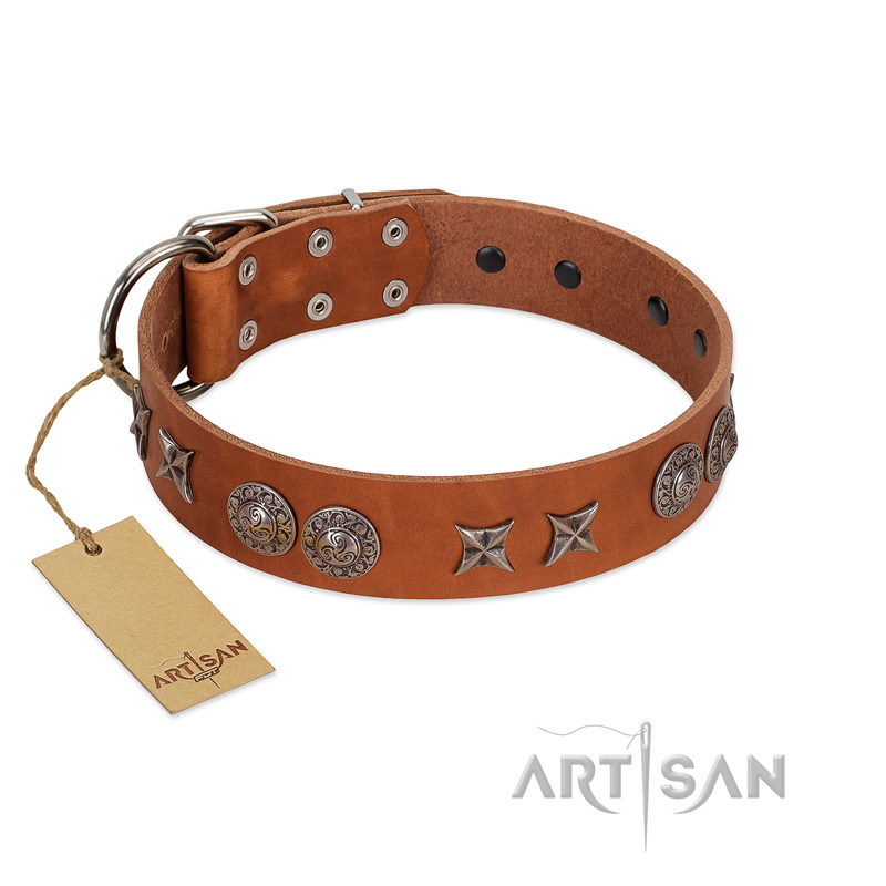 "Splendid Armor" Premium Quality FDT Artisan Tan Designer English Pointer Collar with Shields and Stars