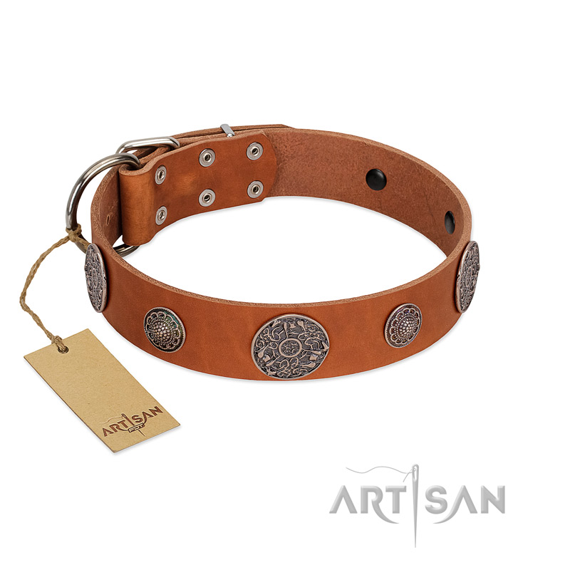"Foxy Nature" FDT Artisan Tan Leather English Pointer Collar with Chrome Plated Brooches