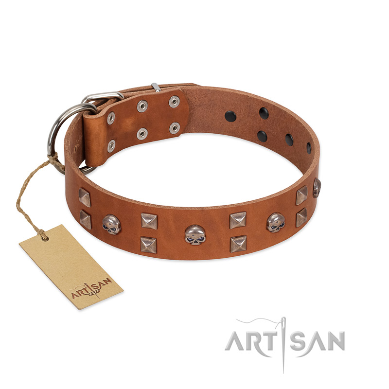 "Enchanted Skulls" FDT Artisan Tan Leather English Pointer Collar with Chrome Plated Skulls