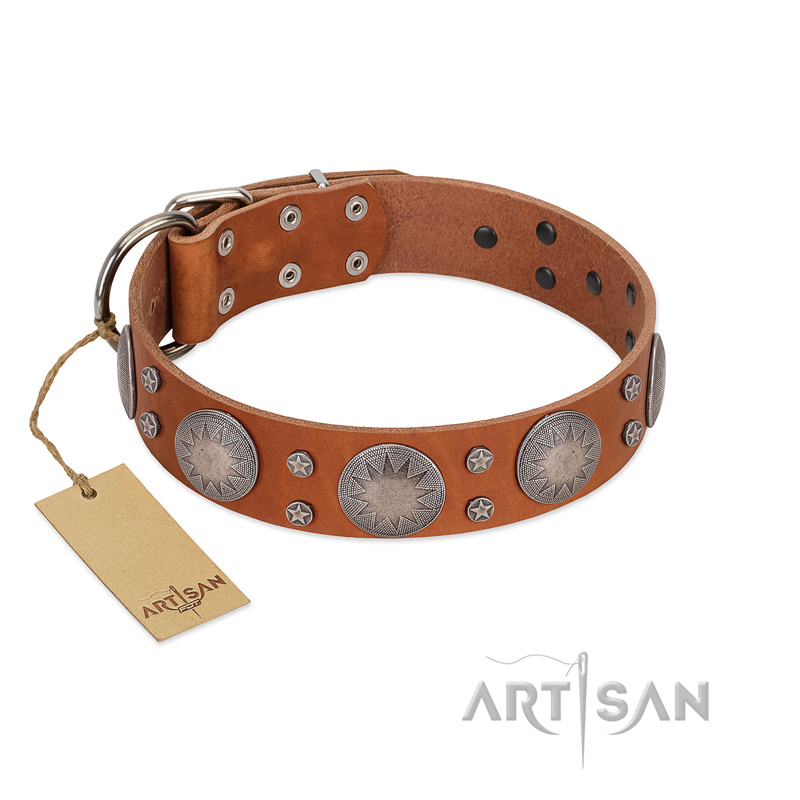 "Far Star" FDT Artisan Tan Leather English Pointer Collar with Engraved Studs