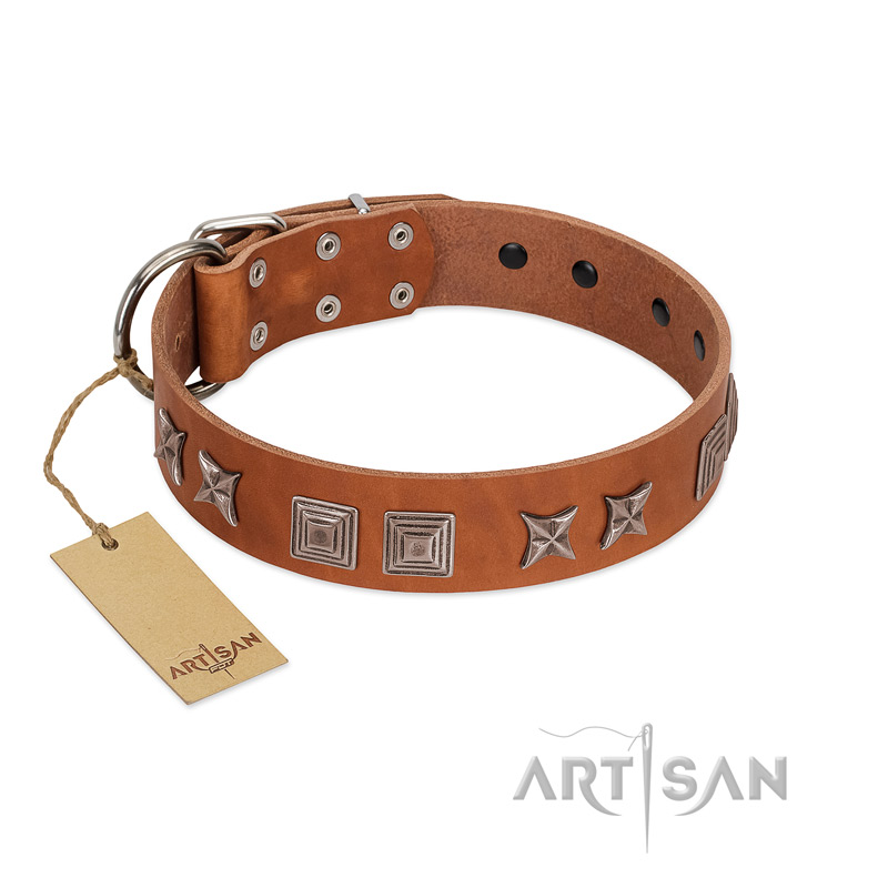"Antique Figures" FDT Artisan Tan Leather English Pointer Collar with Silver-like Engraved Plates