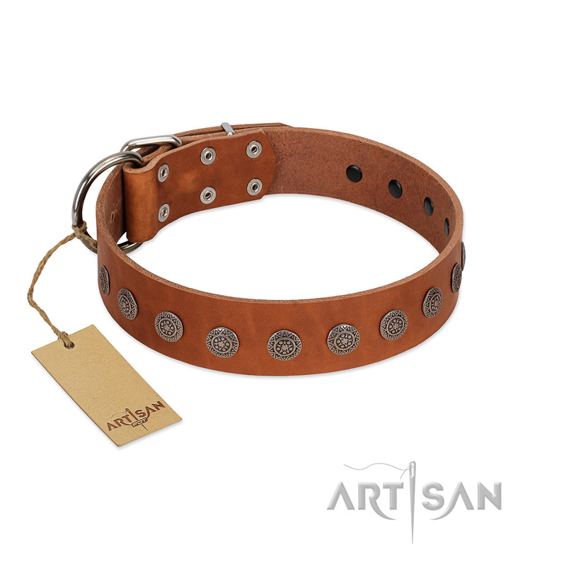 "Lucky Star" Handmade FDT Artisan Designer Tan Leather English Pointer Collar with Round Plates