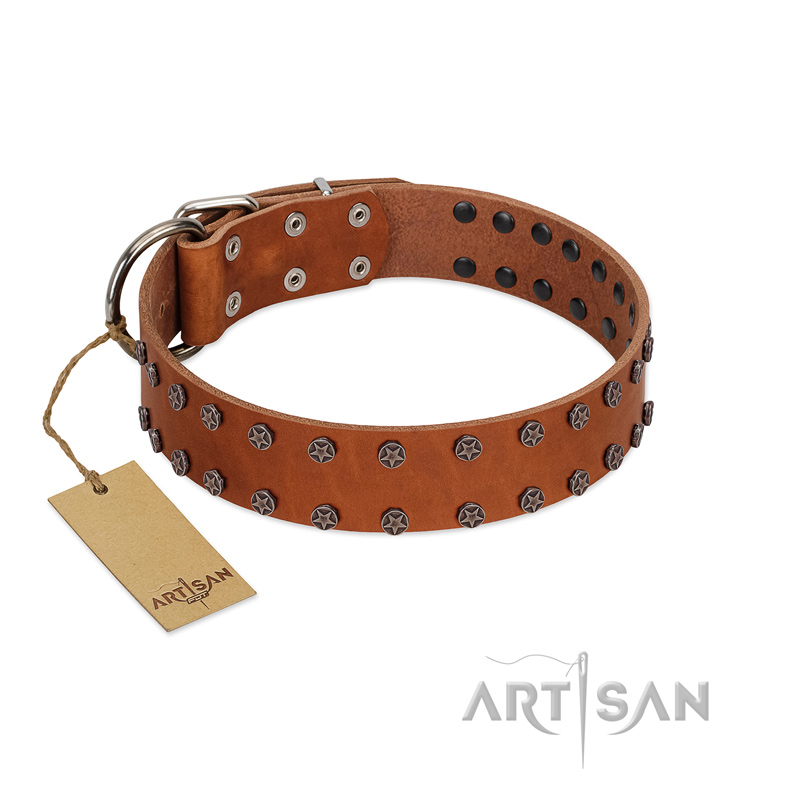 "Star Light" Stylish FDT Artisan Tan Leather English Pointer Collar with Silver-Like Studs