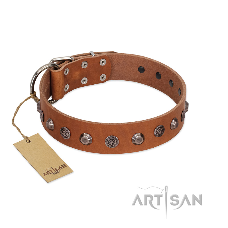 "Silver Age" Fashionable FDT Artisan Tan Leather English Pointer Collar with Silver-Like Studs
