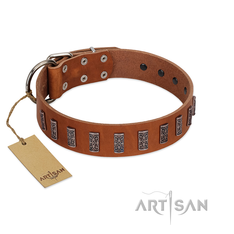 "Silver Century" Fashionable FDT Artisan Tan Leather English Pointer Collar with Silver-Like Plates