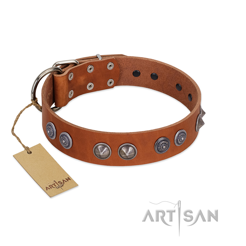 "Silver Necklace" Incredible FDT Artisan Tan Leather English Pointer Colar with Silver-Like Adornments