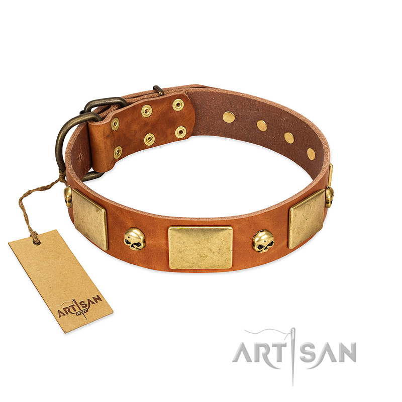 "Mutt The Daredevil" FDT Artisan Tan Leather English Pointer Collar with Old Bronze-like Skulls and Plates