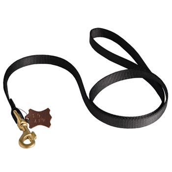 Walking English Pointer Leash