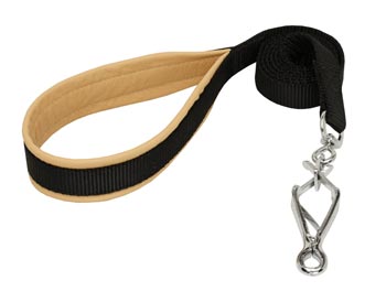 English Pointer Nylon Leash for Walking and Training