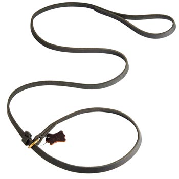 Best Choke Leather English Pointer Collar and Leash
