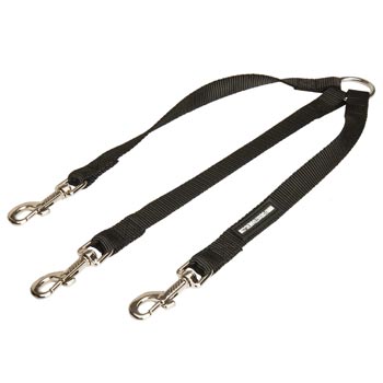 English Pointer Nylon Coupler for 3 Dogs