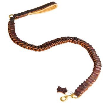 English Pointer Leash Leather for Successful Training