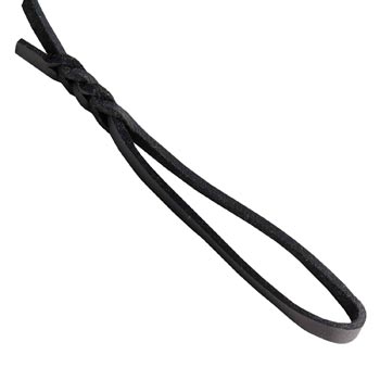 Dog Leather Leash with Comfortable and Strong Handle for English Pointer