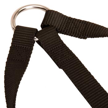 Nickel Ring of English Pointer Coupler