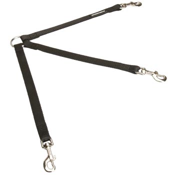 English Pointer Nylon Leash for Walking 3 Dogs with Comfort