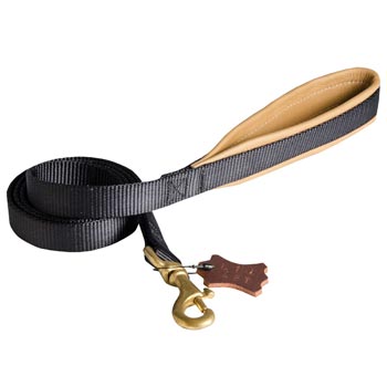 Everyday Nylon Dog Leash Destined for Police Tracking, Training English Pointer