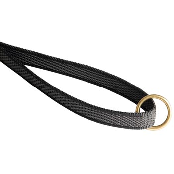 English Pointer Nylon Leash with Brass O-ring on Handle