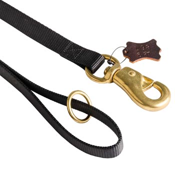 English Pointer Nylon Leash with Brass O-ring and Snap Hook