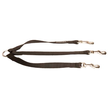 Triple Nylon Leash for Walking 3 English Pointer Dogs