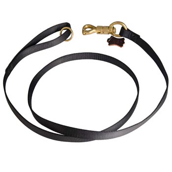 Training English Pointer Leash Nylon Equipped with Strong Snap Hook