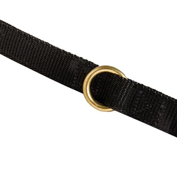 Nylon English Pointer Leash Solid Brass Ring