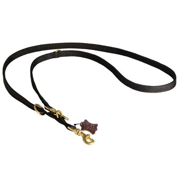 English Pointer Nylon Dog Leash