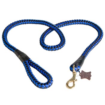English Pointer Nylon Cord Leash
