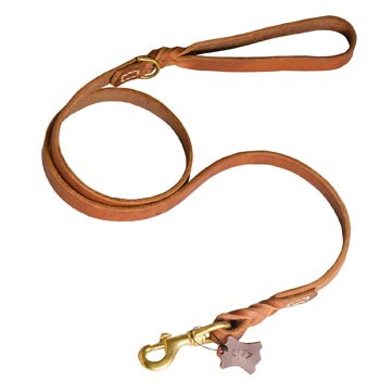 Training Leather English Pointer Leash with Handle