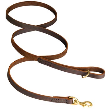 Classic Stitched Leather English Pointer Leash