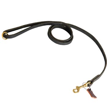 Strong Leather English Pointer Leash for Popular Dog Activities