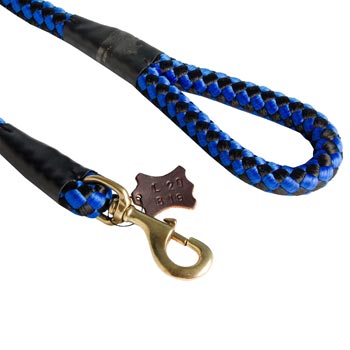 Blue Nylon English Pointer Leash 