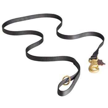 All Weather Nylon Leash for English Pointer Tracking and Training