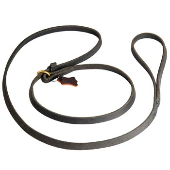 Leash and Collar Combo for English Pointer Walking and Training