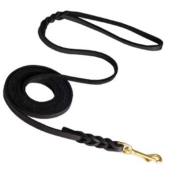 Training Leather English Pointer Leash with Amazing Braids