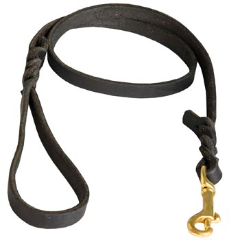 Training Leash for English Pointer