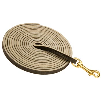 Training Leather English Pointer Leash