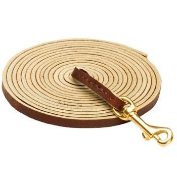Tracking Brown Leather English Pointer Leash