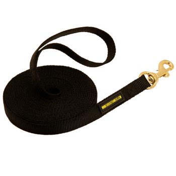 English Pointer Nylon Dog Leash for Tracking Work