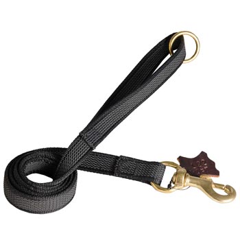 Nylon Leash for English Pointer Training will Help to Achieve Great Results