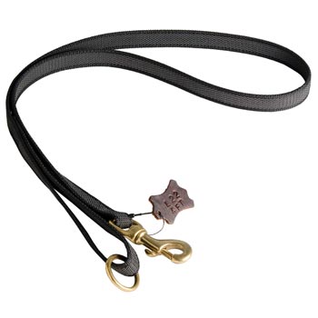All Weather Nylon Leash for English Pointer Walking