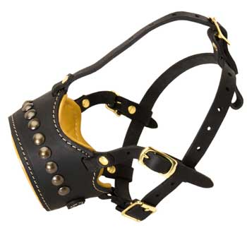 Padded Muzzle for English Pointer