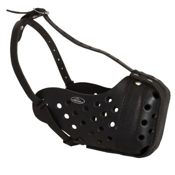 Training Leather Dog Muzzle for English Pointer