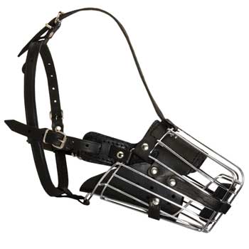 Adjustable Well-Fitting Cage Dog Muzzle for English Pointer