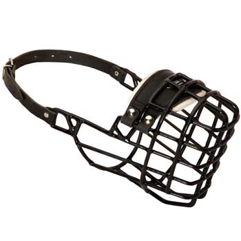 Winter Air Flow Metal Rubber Processed English Pointer  Muzzle