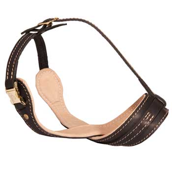 Leather English Pointer Muzzle for Anti-Barking Training