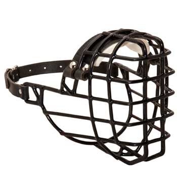 Wire Antifreeze English Pointer Muzzle for Winter Training Walking