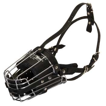 Metal Basket English Pointer Muzzle for Dog Walking Training